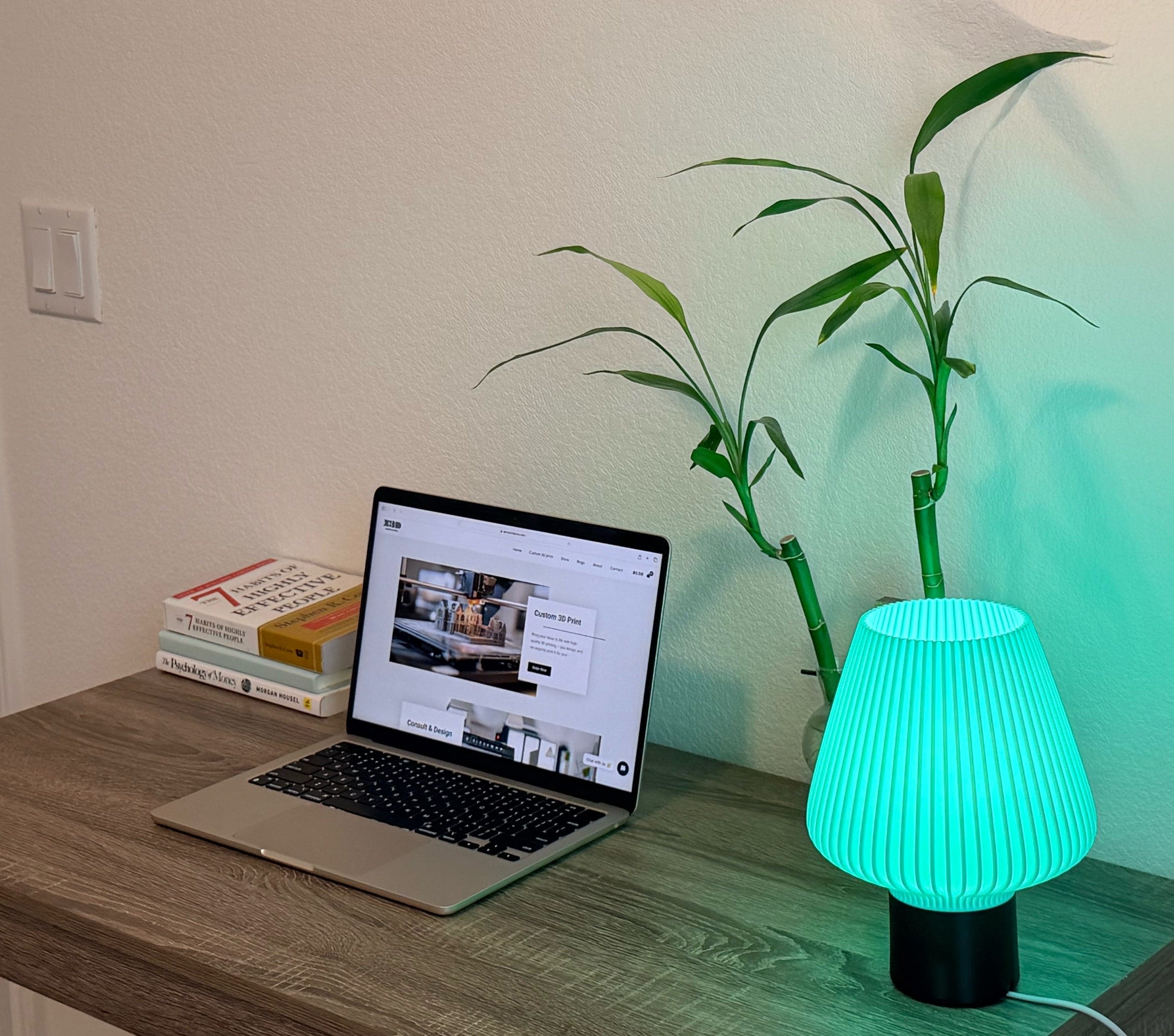 Aurora Shade Lamp - 3D printed designer table lamp
